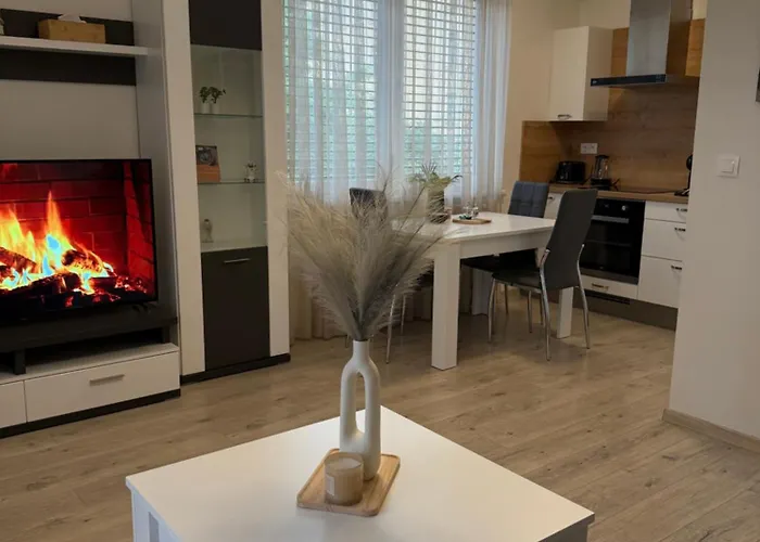 Apartament The Elite Iv Downtown Ac & Garage Parking *