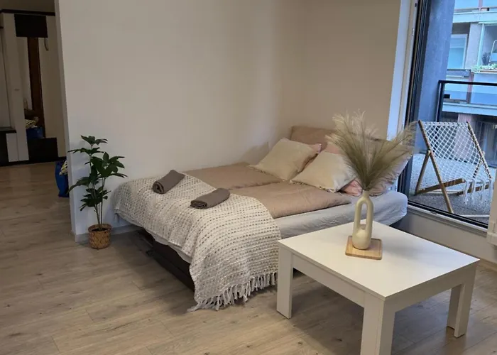 Apartament The Elite Iv Downtown Ac & Garage Parking *